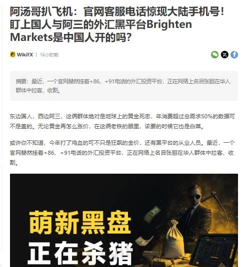 Brighten Markets 4.jpg