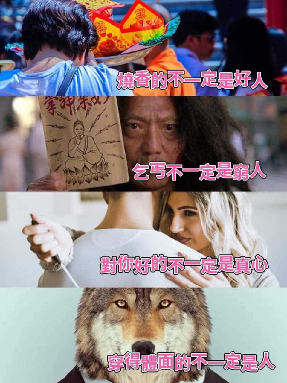 355497.jpg